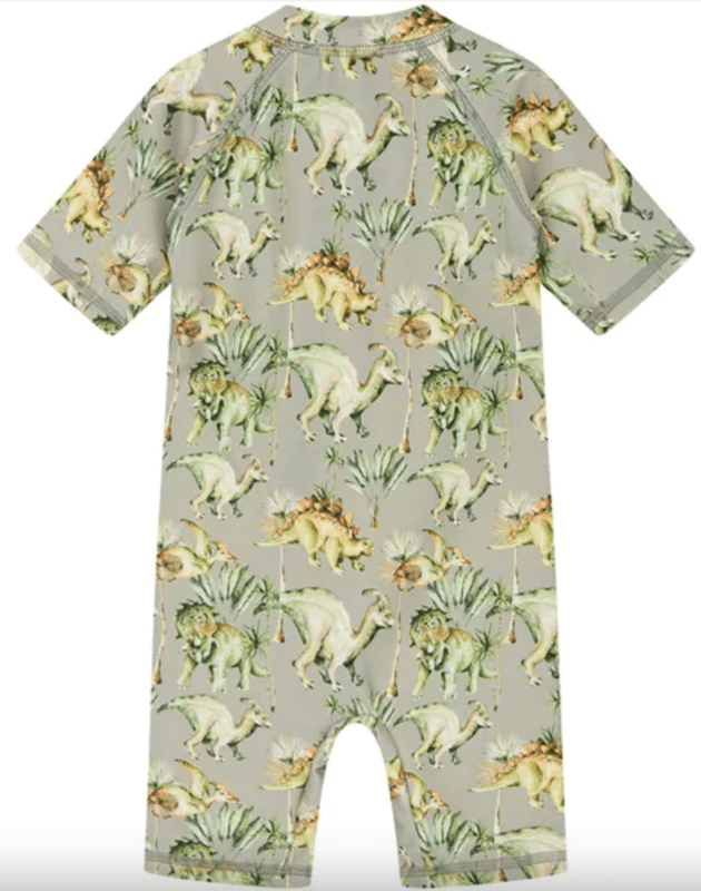 Hust and claire badedrakt dinosaur seagrass longsleeves